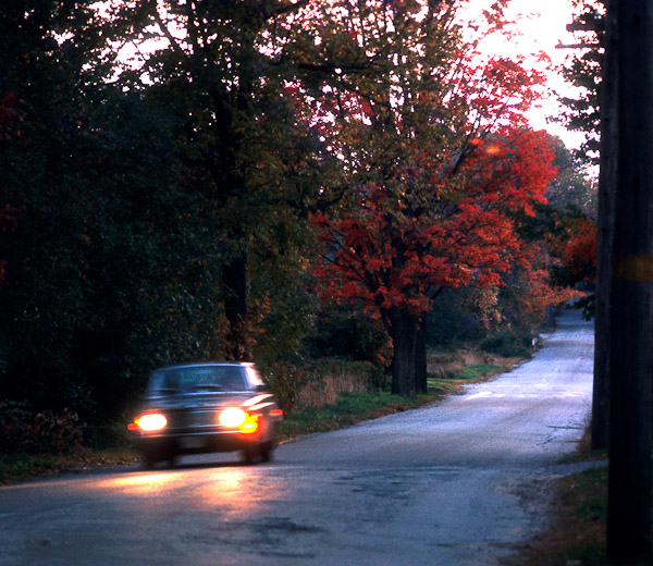 Car & Tree