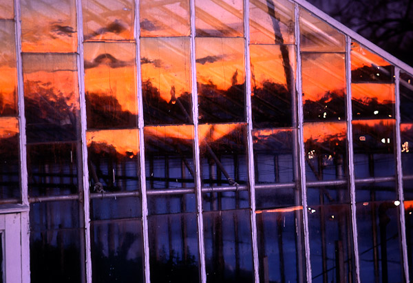 Greenhouse & Sunset