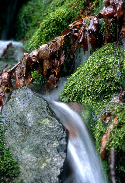 Stone & Falling Waterwrk