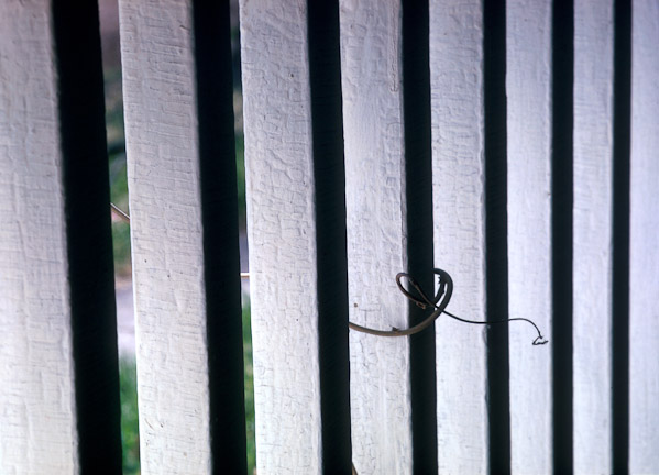 Vine & Porch