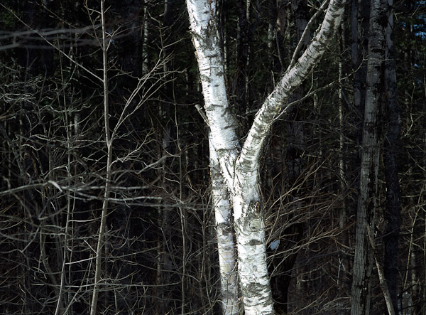 2005_02_19_n4k - 06-Editwrk